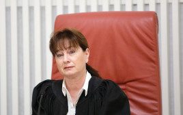 השופטת ענת ברון (צילום: נועם רבקין פנטון, פלאש 90)