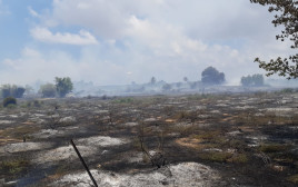 השריפה בשמורת הטבע כרמיה (צילום: תומר עופרי, רשות הטבע והגנים)