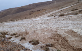 שיטפון בנחל חצצון במדבר יהודה (צילום: דודו זכאי, רשות הטבע והגנים)