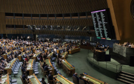 עצרת האו"ם (צילום: AFP)