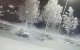 הרכב שהתהפך במהלך בריחה מהמשטרה