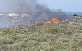 שריפה בזיקים (צילום: קובי סופר, רשות הטבע והגנים)