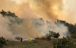 שריפה בעוטף עזה (צילום: תומר עופרי, רשות הטבע והגנים)