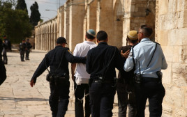 יהודים עצורים בהר הבית (צילום: יוסף מזרחי, TPS)