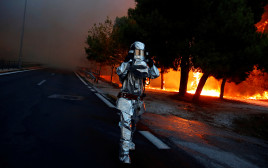 שריפות ביוון (צילום: רויטרס)