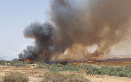 שריפה בנחל הבשור (צילום: רשות הטבע והגנים)