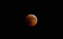 ליקוי ירח (צילום: תומר נויברג, פלאש 90)