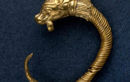 עגיל זהב הלניסטי (צילום: קלרה עמית, באדיבות רשות העתיקות)