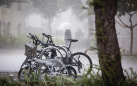 אופניים חשמליים (צילום: נתי שוחט, פלאש 90)