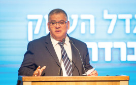 ראש עיריית מגדל העמק, אלי ברדה (צילום: פלאש 90)
