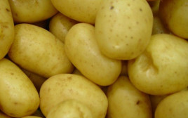 תפוחי אדמה (צילום: Pixabay)