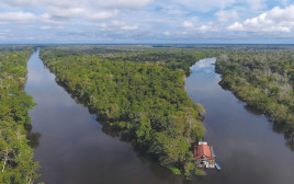 נהר האמזונס (צילום: AFP)