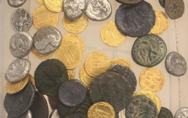 מטבעות הכסף העתיקים שנתפסו  (צילום: דובר צה"ל)