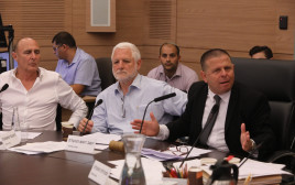 ועדת הכלכלה (צילום: יצחק הררי, דוברות הכנסת)