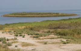 האי בכנרת (צילום: פלאש 90)