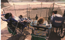 ילדים בעלי מוגבלויות (צילום: משה מילנר, לע"מ)