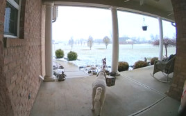 גנב החבילות השובב