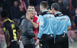 השופט יגאל פריד