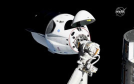 קפסולת החלל dragon crew מבית SpaceX