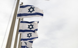 דגל ישראל (צילום: מרק ישראל סלם)