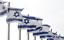 דגלי ישראל (צילום: מרק ישראל סלם)