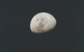 הירח (צילום: רויטרס)