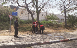 דליפת גז במפרץ חיפה (צילום: המשרד להגנת הסביבה)