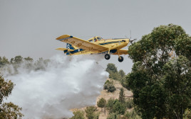 מטוסי כיבוי פועלים בגל השריפות (צילום: עומר שפירא, דוברות כבאות והצלה)