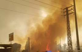 שריפות ברחבי הארץ בשל עומסי החום (צילום: דוברות כבאות והצלה)