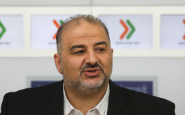 מנסור עבאס  (צילום: הדס פרוש, פלאש 90)