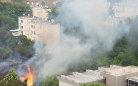 שריפה בקריית שמונה (צילום: דוברות כבאות והצלה לישראל מחוז צפון)