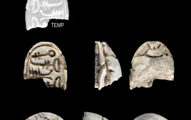 הממצאים בשילה הקדומה (צילום: משלחת a.b.r)