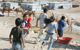 ילדים בדואים (צילום: נתי שוחט, פלאש 90)