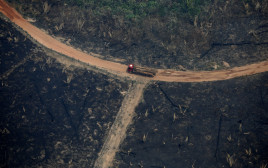 השריפה באמזונס (צילום: רויטרס)