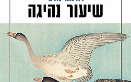 שיעור נהיגה (צילום: כריכת הספר)