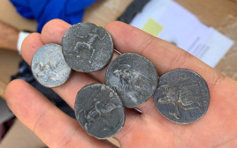 המטבעות העתיקים שנתפסו בכרם שלום (צילום: דוברות משרד הביטחון)