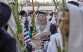 תפילת חג הסוכות בכותל המערבי (צילום: הלל מאיר/TPS)