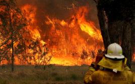 השריפות באוסטרליה (צילום: רויטרס)