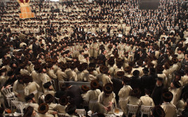 חסידות סאטמר (צילום: יעקב נחומי, פלאש 90)