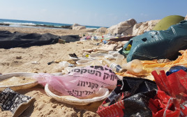 כלים חד פעמיים בחוף הים (צילום: פרד ארזואן, המשרד להגנת הסביבה)