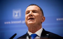 יולי אדלשטיין (צילום: יונתן זינדל, פלאש 90)