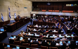 מליאת הכנסת