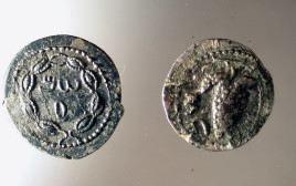 מטבעות עתיקים שימשו השראה ללוגו האזורי (צילום: בועז זיסו)