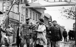 שחרור אושוויץ (צילום: מתוך ויקיפדיה)
