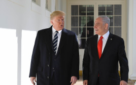 פגישת נתניהו וטראמפ  (צילום: קובי גדעון, לע"מ)
