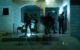 כוחות צה"ל בג'נין