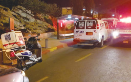 זירת פיגוע הדריסה בירושלים (צילום: דוברות מד"א)