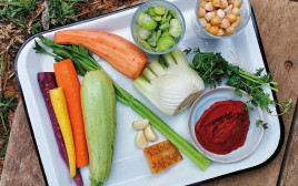 מרק ירקות חורפי (צילום: אודי ברקן, אושר אידלמן)