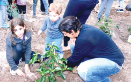 נטיעות בעין גב