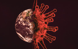 וירוס הקורונה (צילום: יחצ)